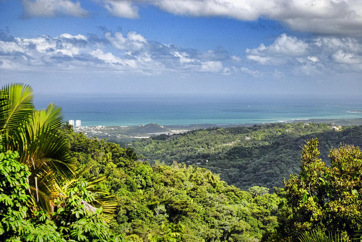 El Yunque National Forest: Visitor Guide