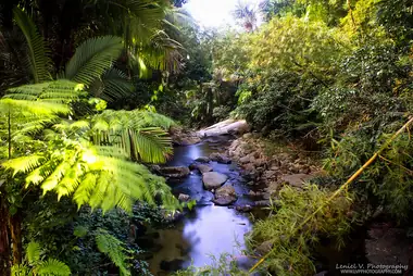 5 Beautiful Destinations in Puerto Rico