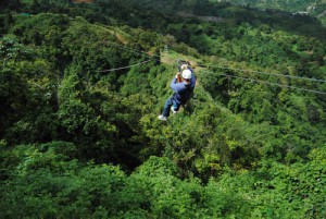 Toro Verde03