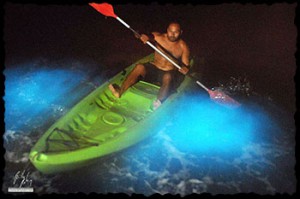 bioluminescent bay vieques1