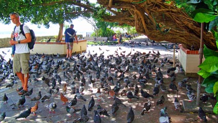 Parque de las Palomas