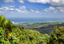 El Yunque