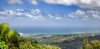 El Yunque