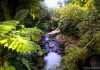 5 Beautiful Destinations in Puerto Rico