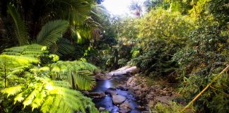 5 Beautiful Destinations in Puerto Rico