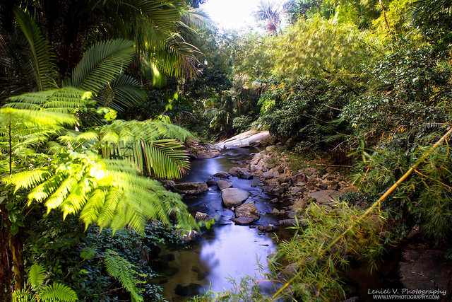 el yunque